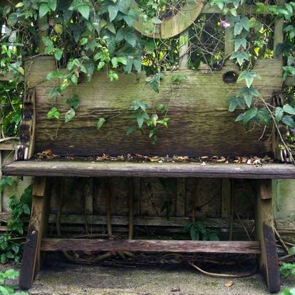 Bench in the Garden at Rancho Los Alamitos (the bench was removed several years ago)