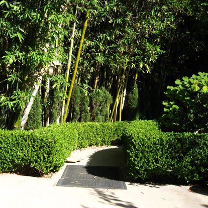 Bamboo Forest, Rancho Los Alamitos