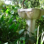 Water Feature in the Garden at Rancho Los Alamitos